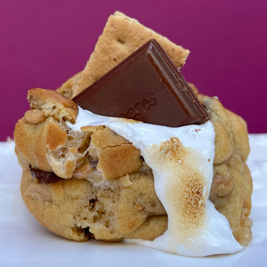 Roasty Toasty PB S'mores