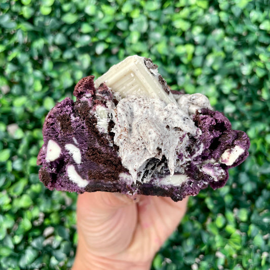 Ube N' Cream